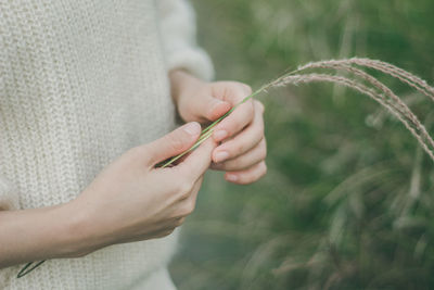 Midsection of woman holding plant while standing in farm