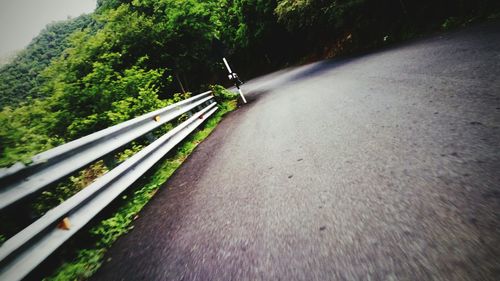 Car on road amidst trees