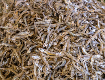 Full frame shot of dried for sale in market