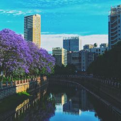 Modern buildings by river against sky in city