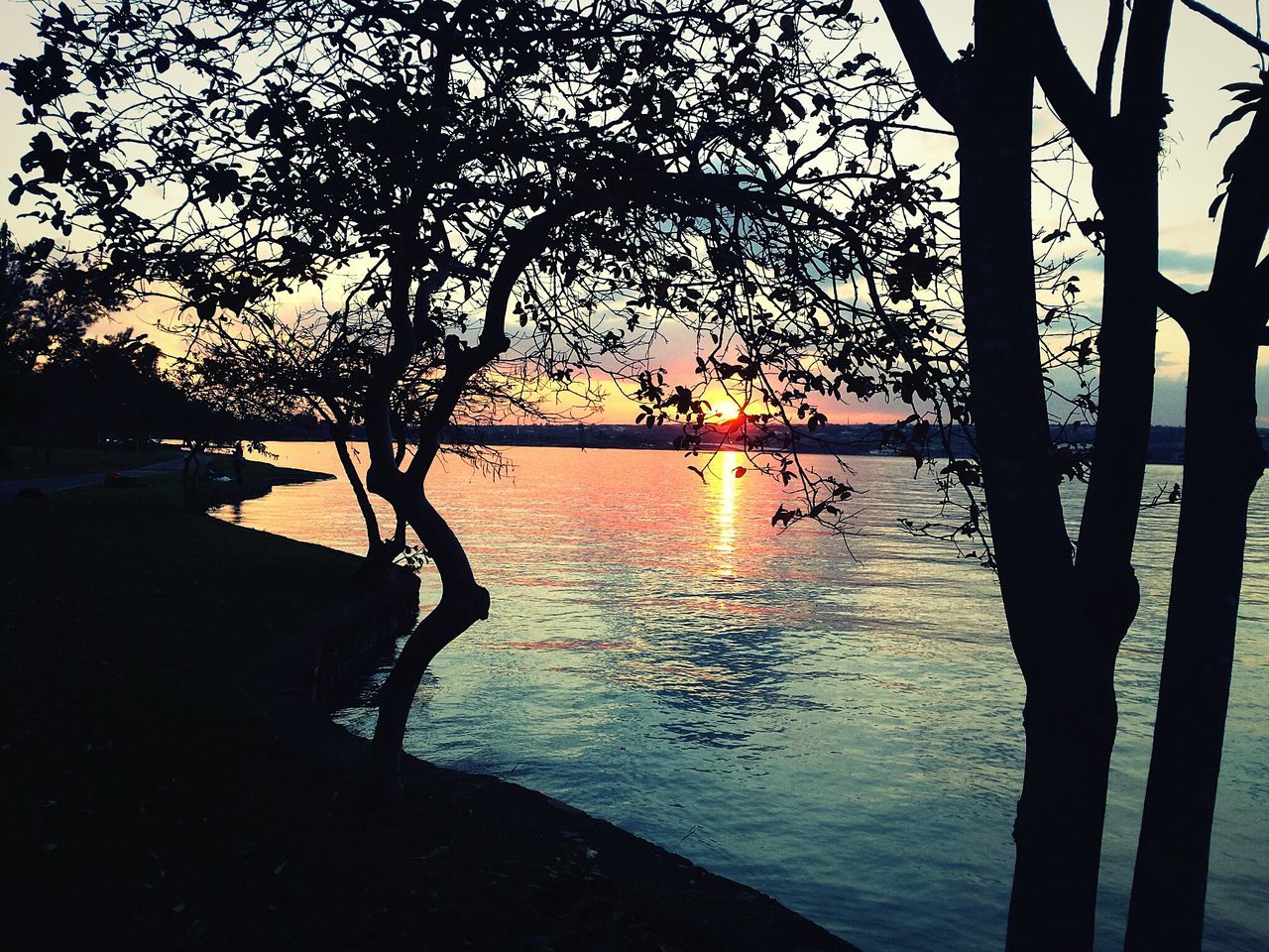 water, sunset, tranquility, silhouette, tree, tranquil scene, reflection, scenics, beauty in nature, lake, branch, nature, idyllic, tree trunk, bare tree, sky, outdoors, non-urban scene, no people, rippled