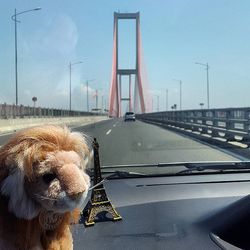 View of tree against sky