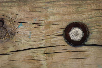 Close-up of wood on table