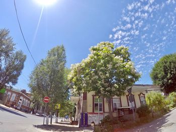 Trees by road against sky on sunny day