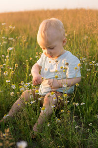 A little blond boy is sitting in the grass in a chamomile field. walking in nature