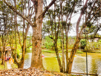 Bare trees by river in forest against sky