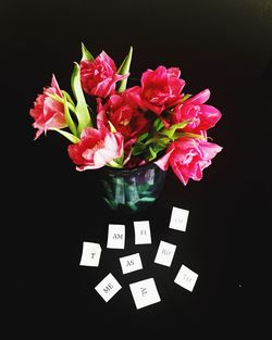 Close-up of vase over black background