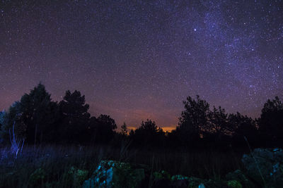 Silhouette trees against star field at night