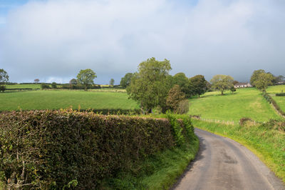 Road amidst trees on field against sky