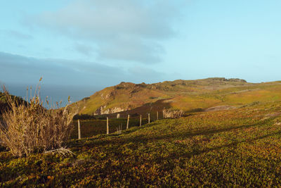 Scenic view of field against sky
