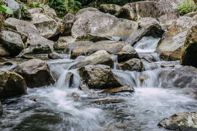 Waterfall in forest