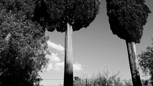 Low angle view of silhouette trees against sky