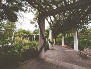 Empty footpath in park