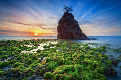 Mossy rocks at beach against sky during sunset