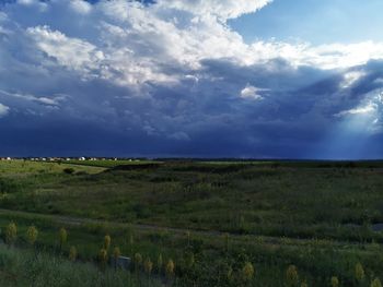 Scenic view of field against sky