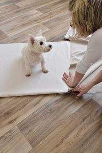 High angle view of woman with dog on hardwood floor