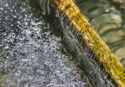 Close-up of water flowing on rock