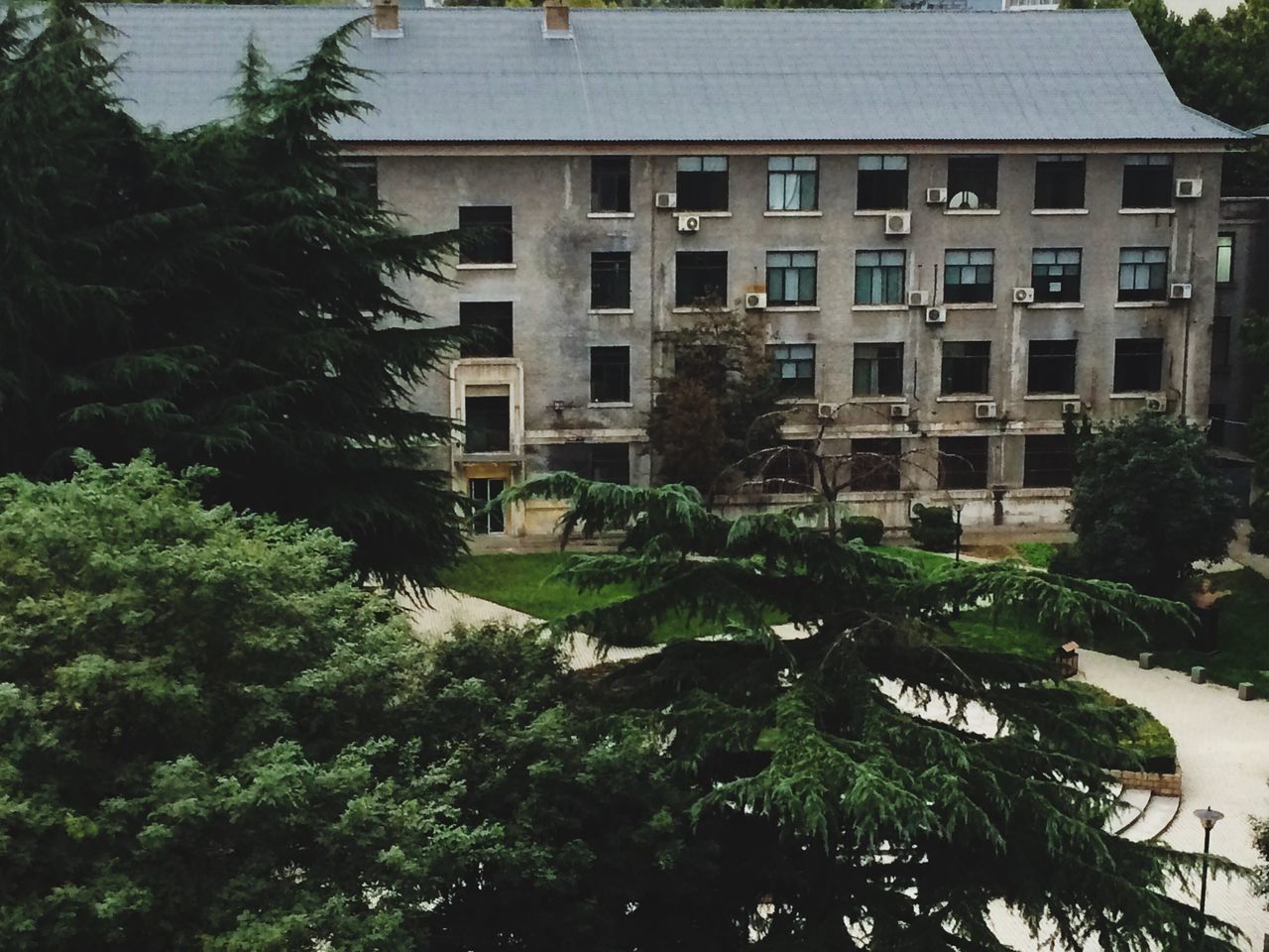 building exterior, architecture, built structure, tree, growth, residential building, building, residential structure, window, city, house, green color, low angle view, day, outdoors, no people, plant, branch, sunlight, balcony