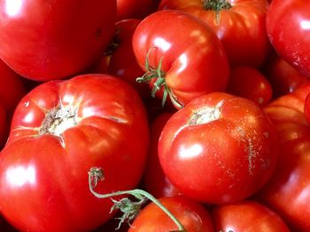 Full frame shot of tomatoes