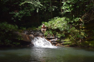 Scenic view of waterfall in forest