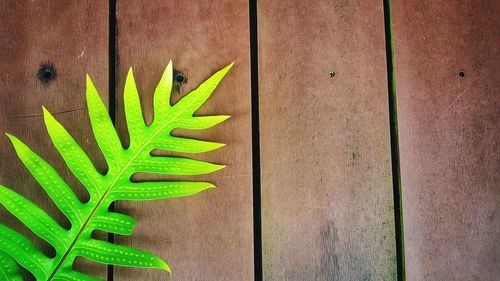 High angle view of multi colored candies on table