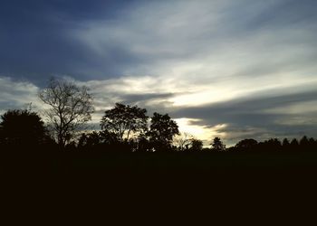 Low angle view of silhouette trees against sky