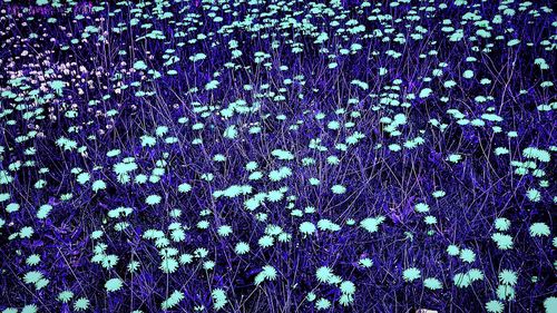 Full frame shot of tiled floor