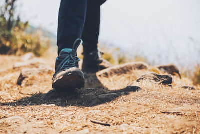 Low section of man wearing shoes on field