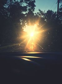 Silhouette of trees at sunset