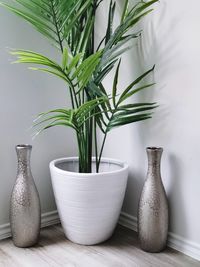 Close-up of potted plant on table at home