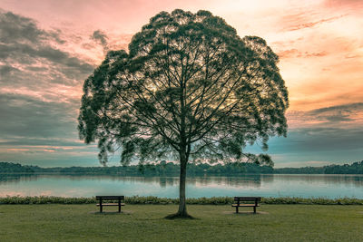 Empty bench on field against sky during sunset