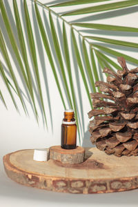Close-up of pine cone on table