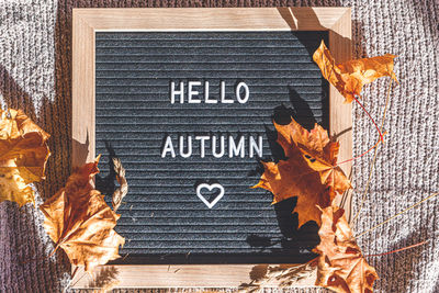 Close-up of autumn leaves on wood