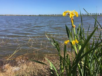 Scenic view of lake against sky