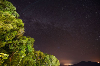 Low angle view of trees against sky at night