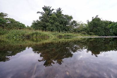 Reflection of trees in lake against sky