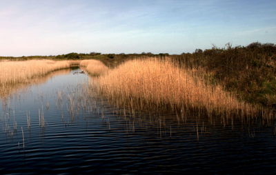 Scenic view of lake against sky