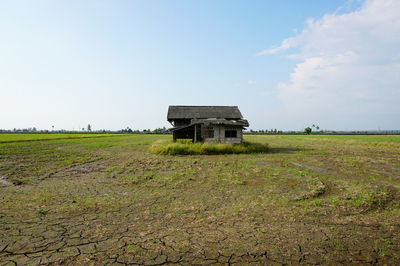 Abandoned house at paddy field