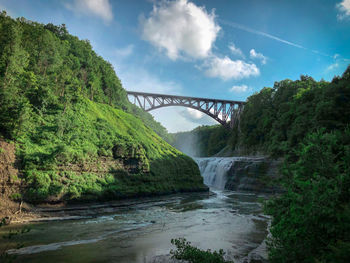 Bridge over river amidst trees against sky