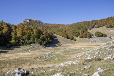 Scenic view of landscape against clear blue sky