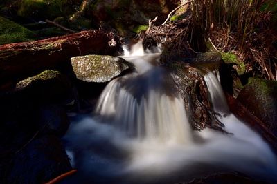 Waterfall in forest