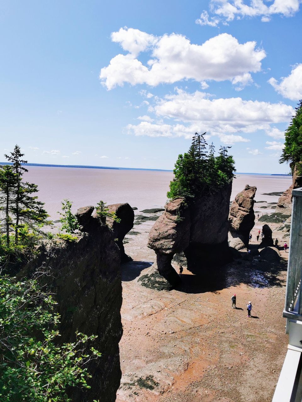 SCENIC VIEW OF SEA AGAINST TREES