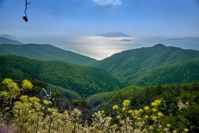 Scenic view of landscape and mountains against sky