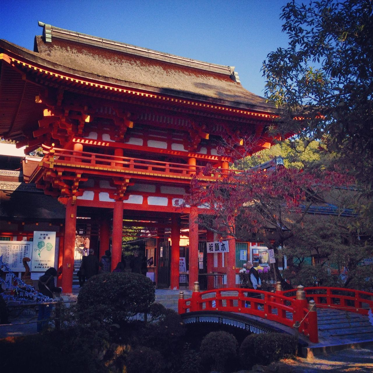 built structure, architecture, building exterior, temple - building, religion, place of worship, tree, spirituality, famous place, low angle view, temple, tradition, travel destinations, culture, cultures, clear sky, red, tourism