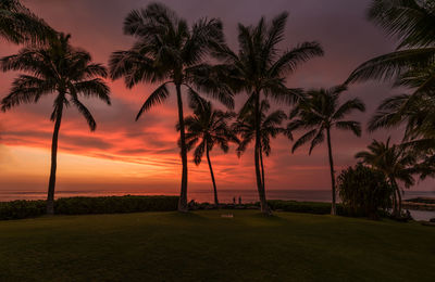 Palm trees on beach against sky during sunset