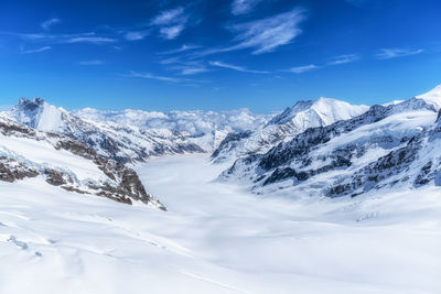 snow