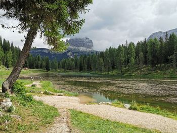 Scenic view of lake by trees against sky