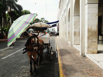 Parasol on horse cart at footpath