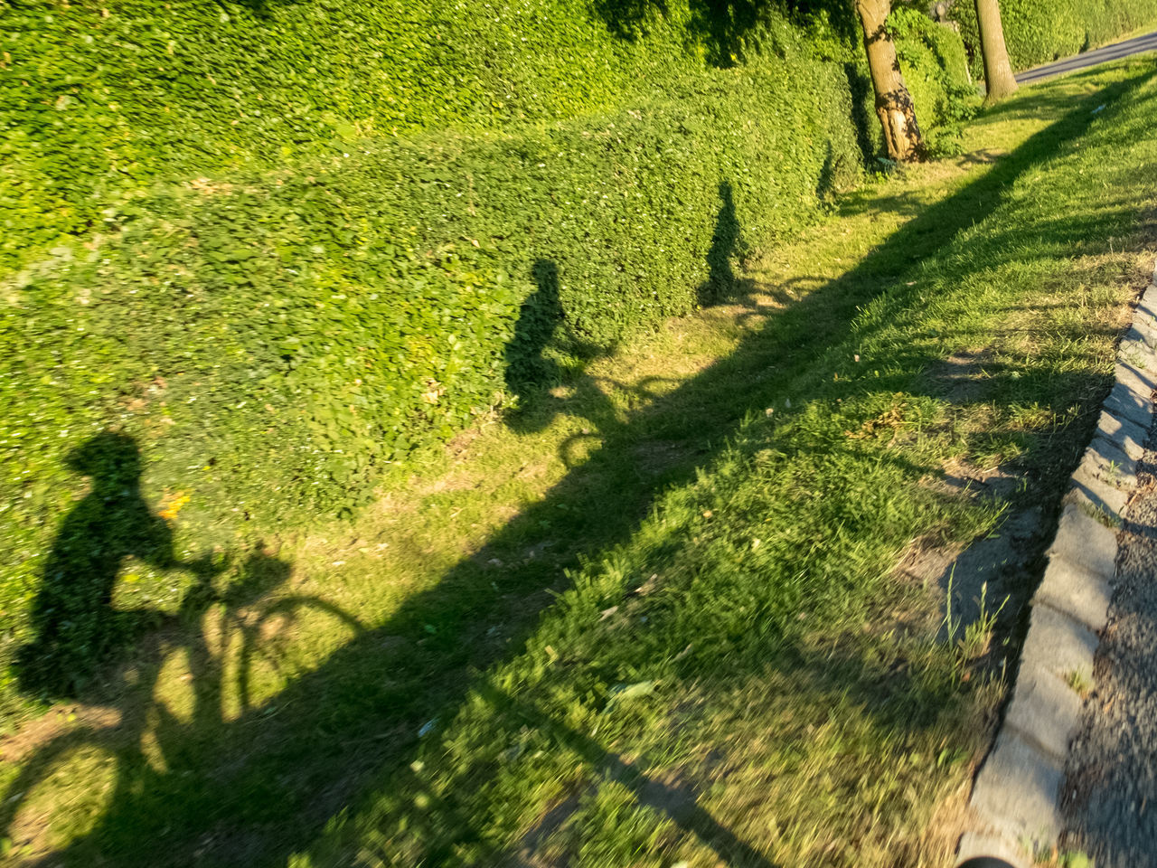 HIGH ANGLE VIEW OF SHADOW ON FIELD