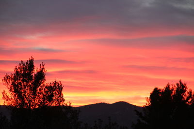 Silhouette trees against romantic sky at sunset